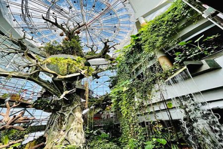 The Green Planet – Dubai’s Unique Indoor Rainforest