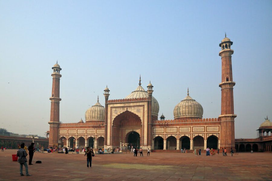 Delhi: Old and New Delhi City Private Guided Day Trip