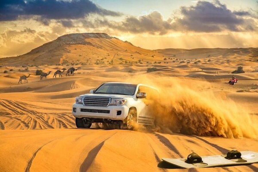 Dubai Red Dune Safari, Camel Ride, Sandboarding with VIP Majis