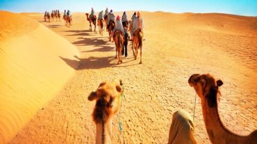 Importance of Dubai Desert Safari