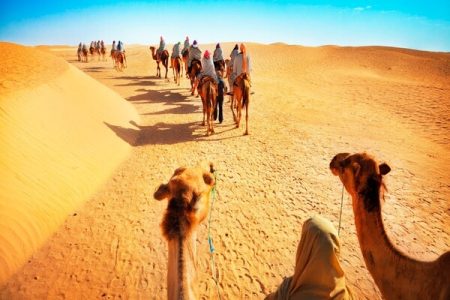 Dubai: Half-Day Desert Safari, Camel Ride & Dune Bashing
