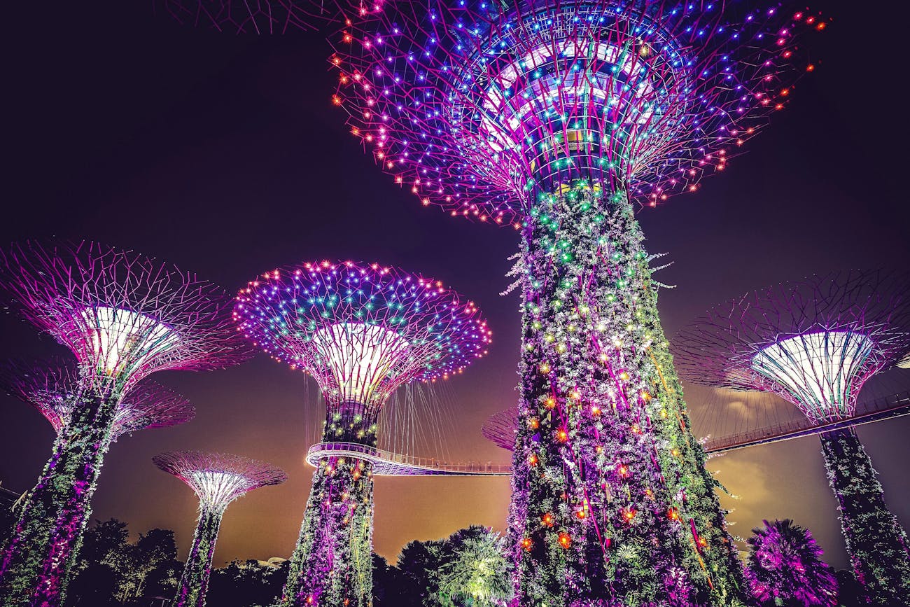 Gardens by the Bay