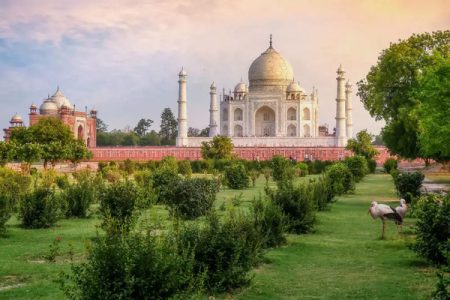 Agra: Mehtab Bagh View Taj Mahal Entry Ticket
