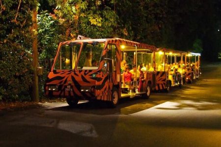 Singapore: Night Safari and Tram Ride Ticket
