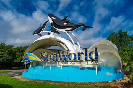 Abu Dhabi: SeaWorld Entry Ticket