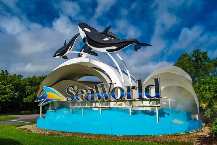 Abu Dhabi SeaWorld Entry Ticket