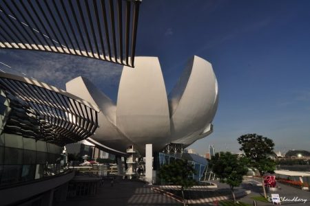 Singapore: ArtScience Museum Entry Ticket