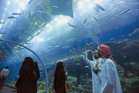 Dubai: Dubai Aquarium & Underwater Zoo Entry Ticket