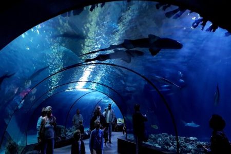 Dubai: Lost Chambers Aquarium Entry Ticket at Atlantis