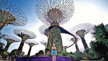 3 Days Singapore Tour Packages