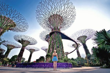 Singapore: Private Welcome City Tour