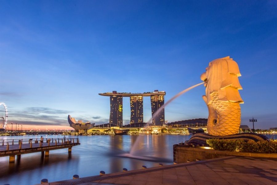 Singapore: Half-Day City Tour with Hotel Transfer