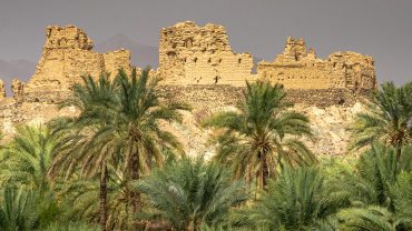 7 Days Oman Tour Package