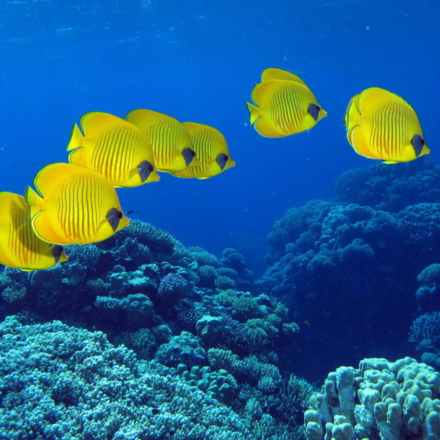 Hurghada