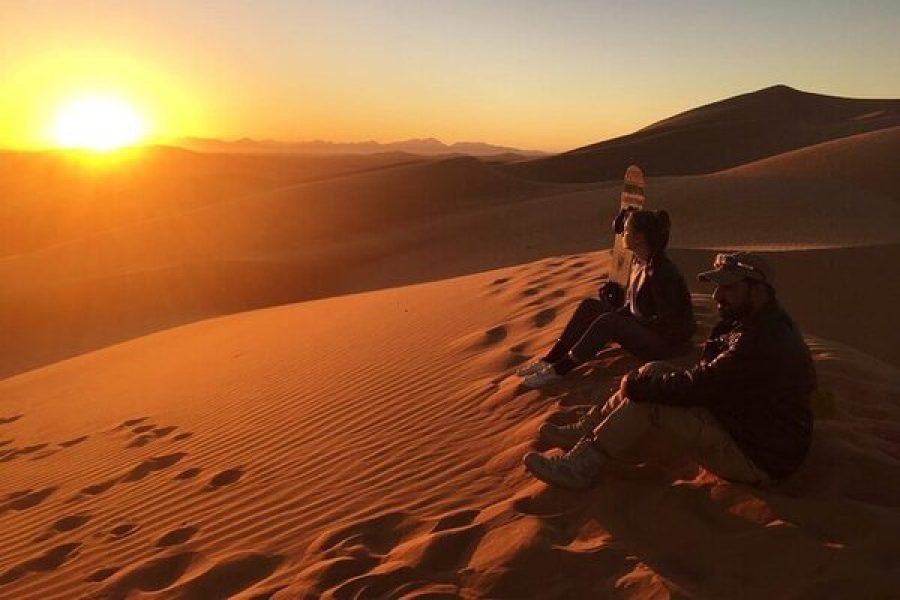 Dubai: Morning Desert Safari, Dune Bashing & Camel Riding