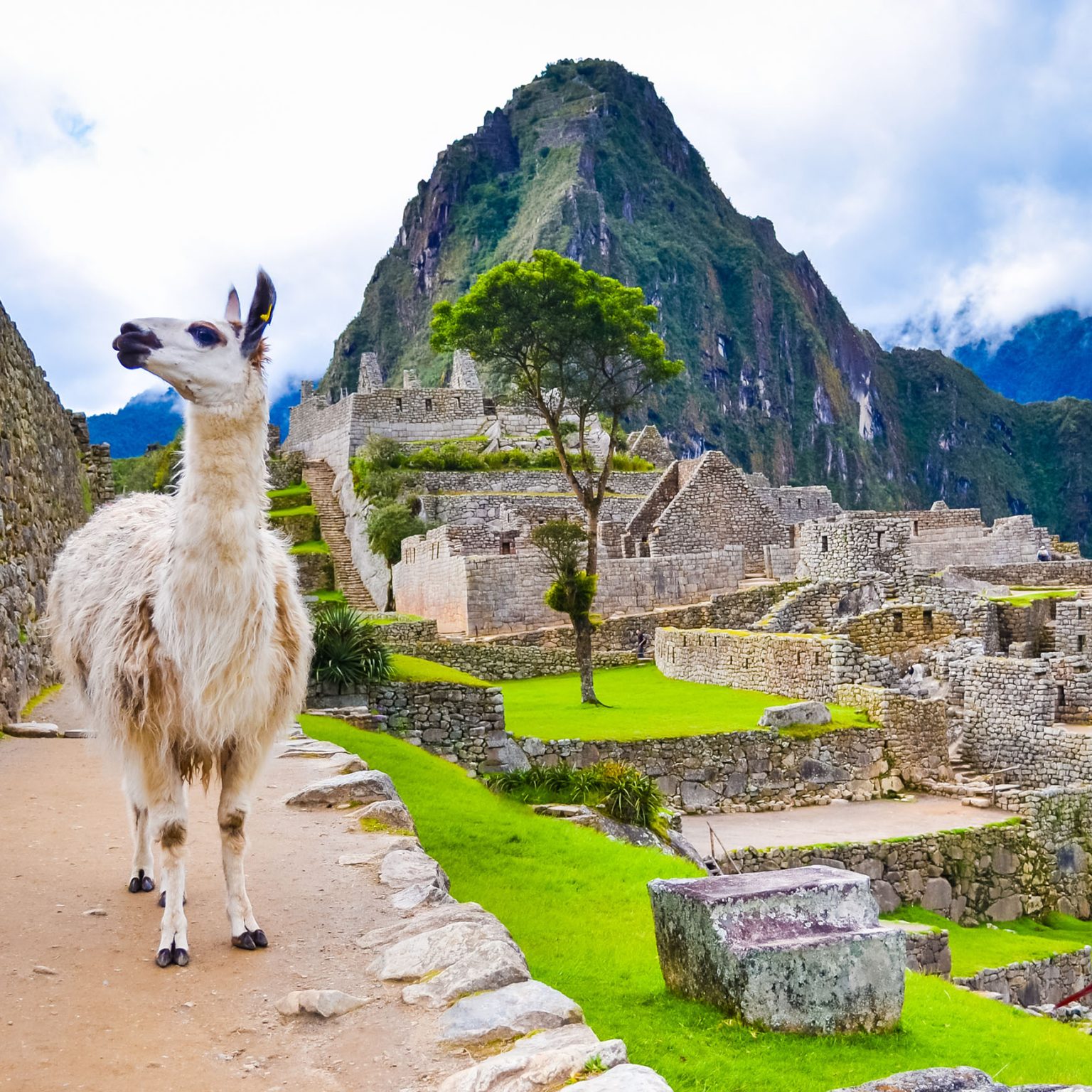 Machu Picchu, Peru
