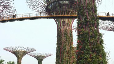 3 Days Singapore Tour Package