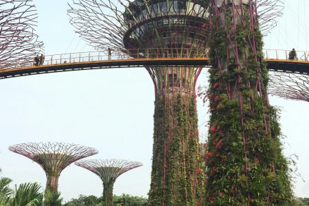 3 Days Singapore Tour Packages