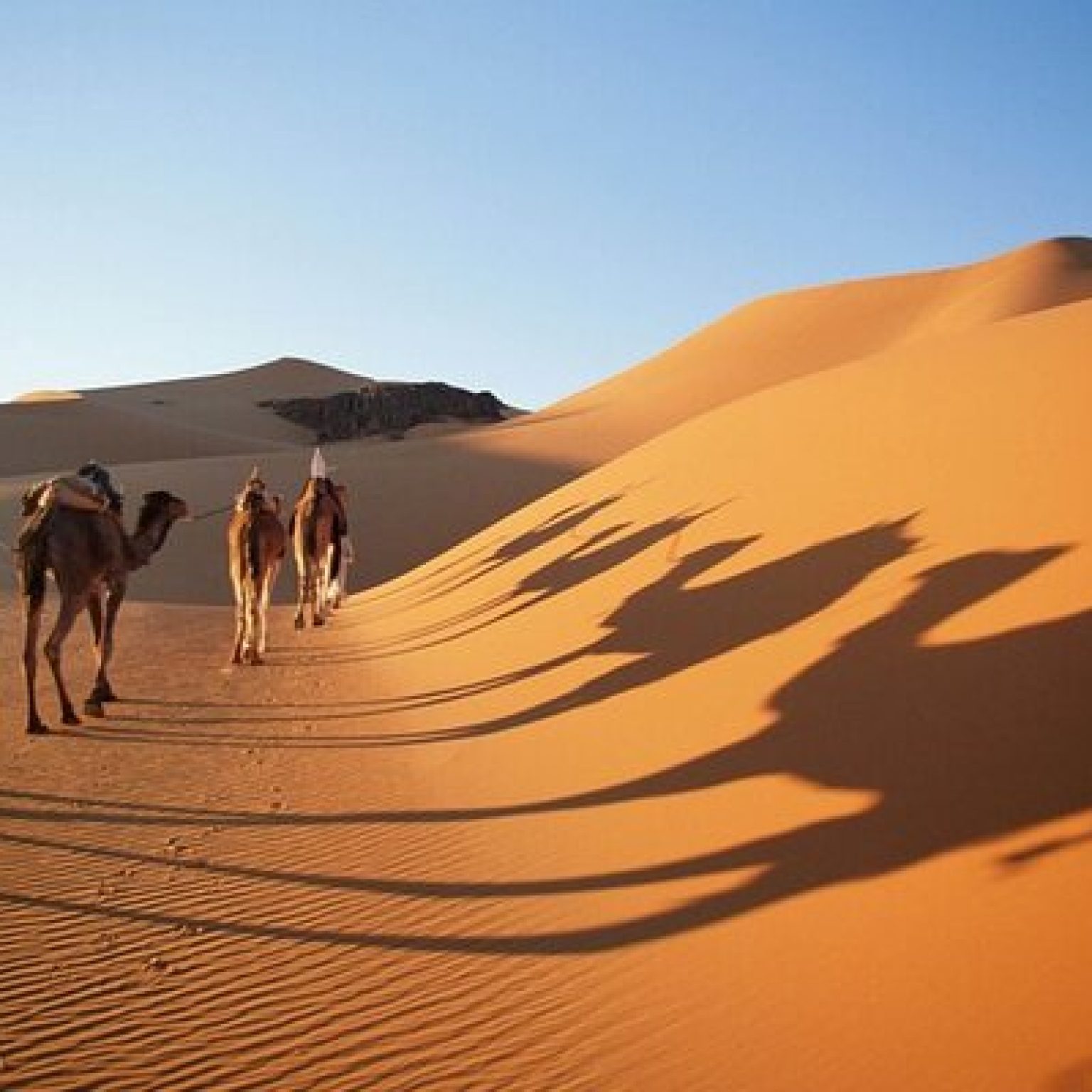 Sunrise Desert safari dubai