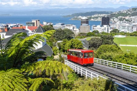 10 Days New Zealand Tour Packages