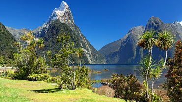 5 Days New Zealand Tour Packages