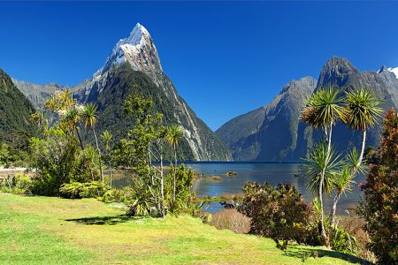 5 Days New Zealand Tour Packages