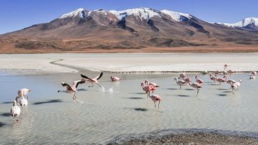 3 Days Bolivia Tour Packages