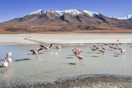 3 Days Bolivia Tour Packages