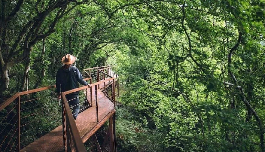 1 Days Georgia Layover Tour