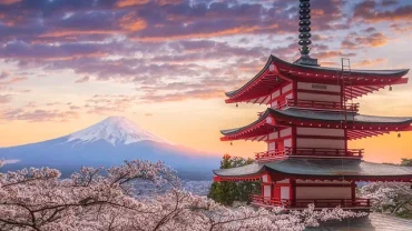 5 Days Japan Tour Packages