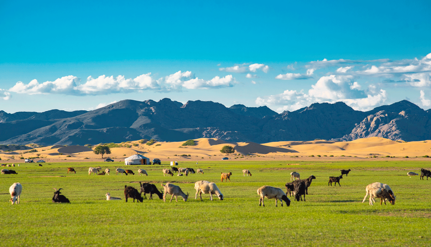 5 Days Mongolia Tour Packages