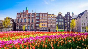 7 Days Netherlands Tour Packages
