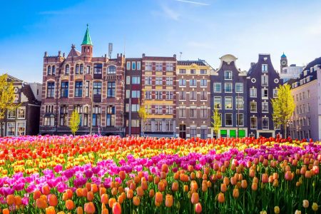 7 Days Netherlands Tour Packages