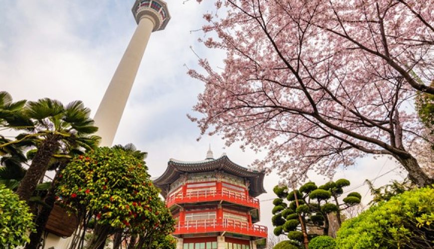 5 Days South Korea Tour Packages