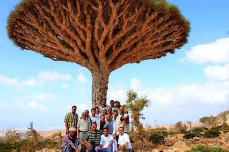 7 Days Yemen Tour Packages