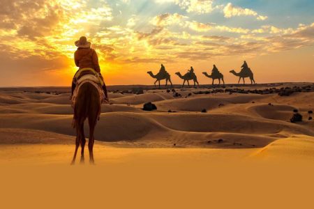 Abu Dhabi Desert Safari Tour