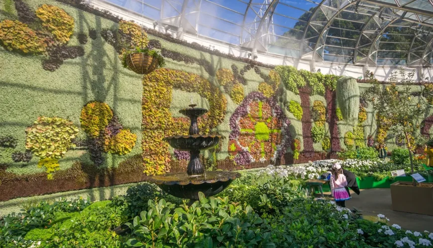 royal botanic garden tour